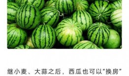 吃瓜网站能打开的网站免费 朝阳吃瓜群众最新网站,朝阳吃瓜群众必备！免费吃瓜网站大盘点